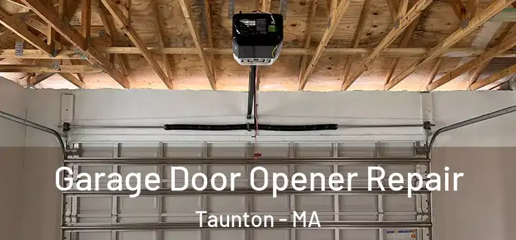 Garage Door Opener Repair Taunton - MA