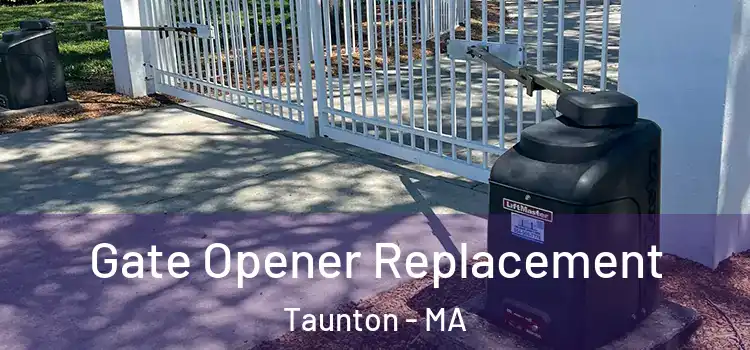 Gate Opener Replacement Taunton - MA