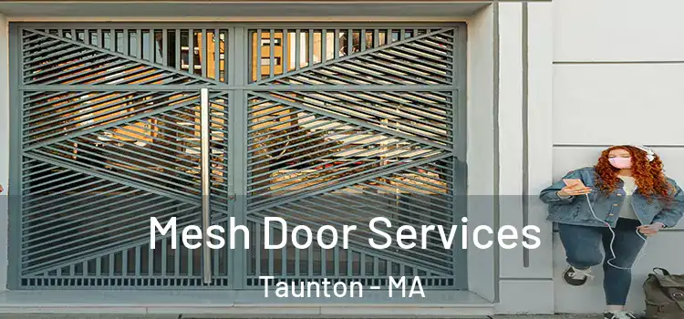 Mesh Door Services Taunton - MA